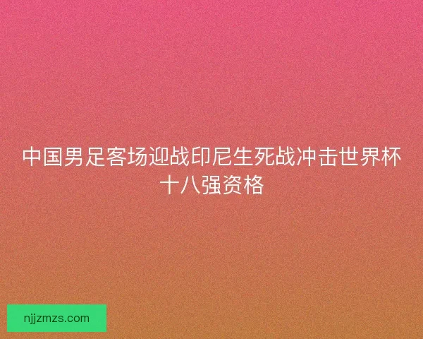 中国男足客场迎战印尼生死战冲击世界杯十八强资格